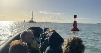 Balade en mer (1h) -  TEX' La Rochelle