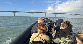 Balade en mer (1h) -  TEX' La Rochelle