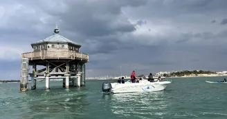 Balade en mer (1h) -  TEX' La Rochelle