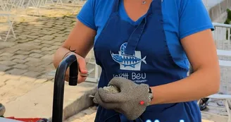 Le P'tit Bleu