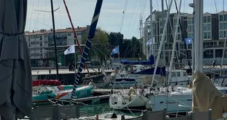 Le Safran
