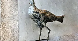 Dame Terre & cie exposent à l'espace Carnot