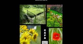 Exposition - Renc’arts - Photographies